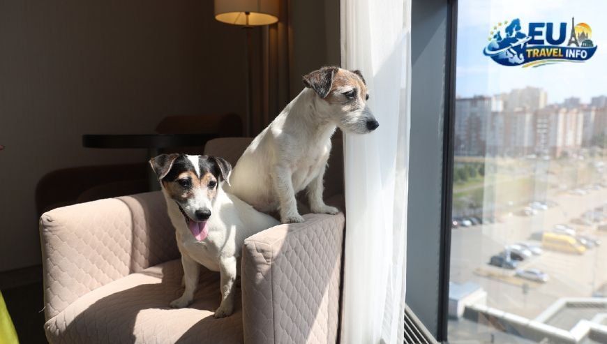 Dog Friendly Holidays in Kazan, Russia