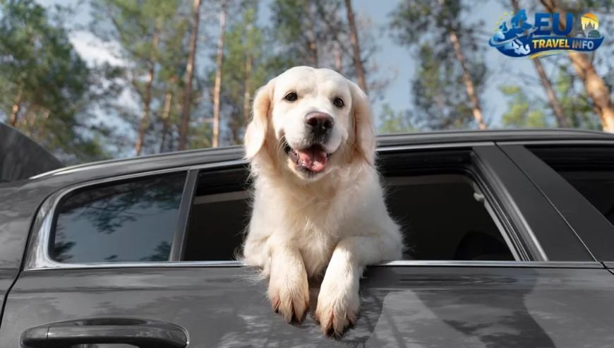 Dog Friendly Holidays in Luxembourg City, Luxembourg