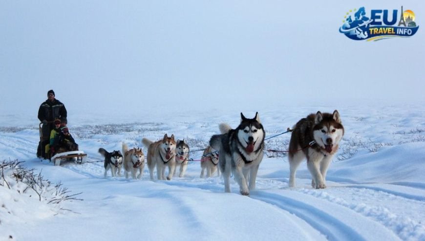 Dog Friendly Holidays in Moscow, Russia