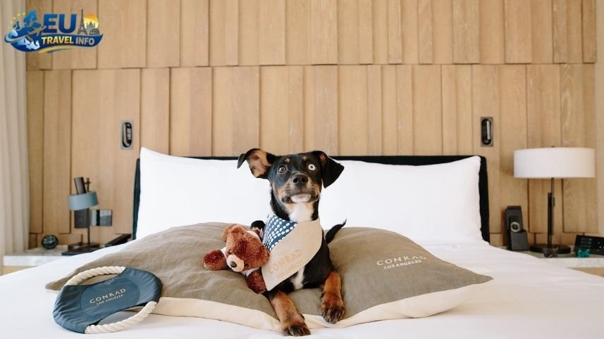 Dog Friendly Hotels in Bulgaria