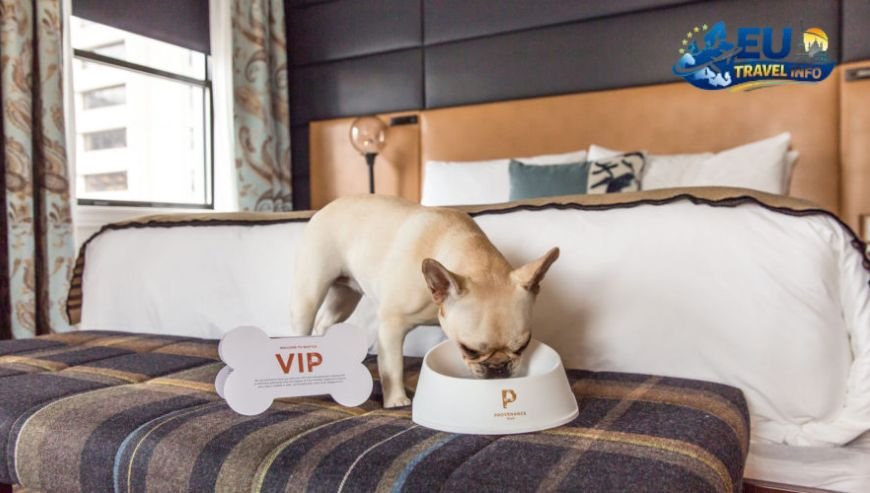 Dog Friendly Hotels in Monaco