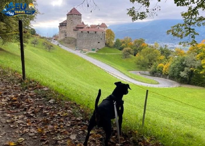 Dog Friendly Liechtenstein
