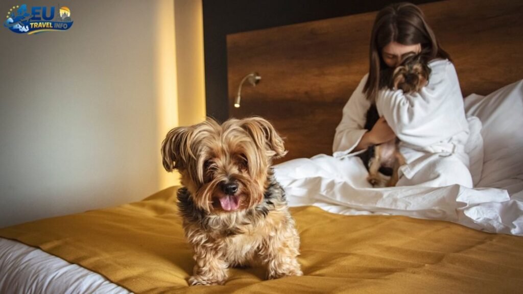 Dog-Friendly North Macedonia