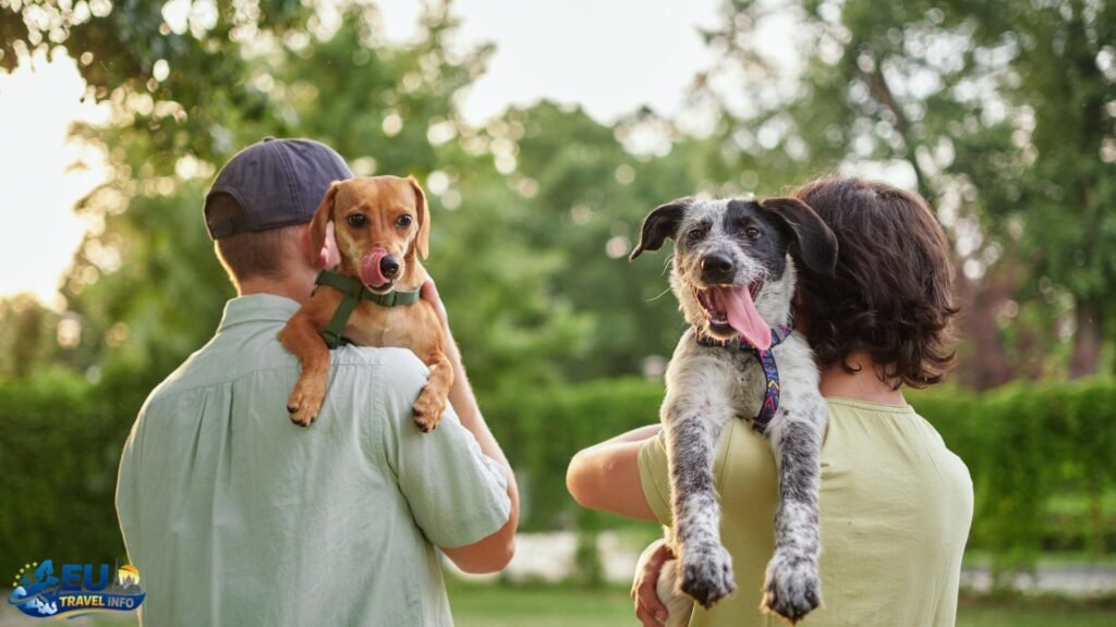 Dog-Friendly Public Transport in Belgium