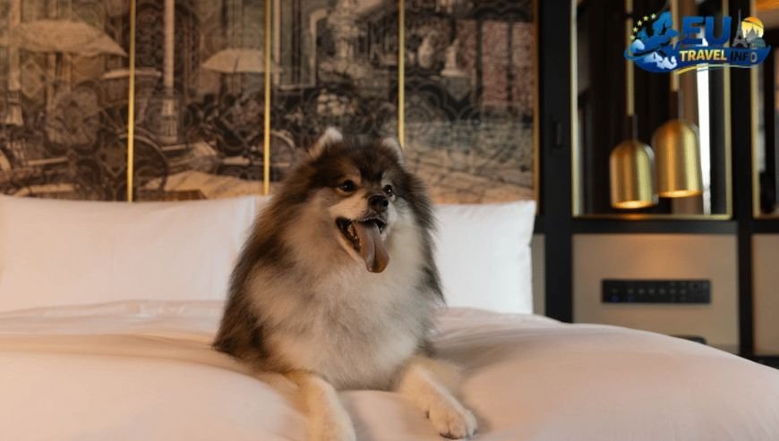 Dog Friendly Small Hotels for Adults Only in Armenia