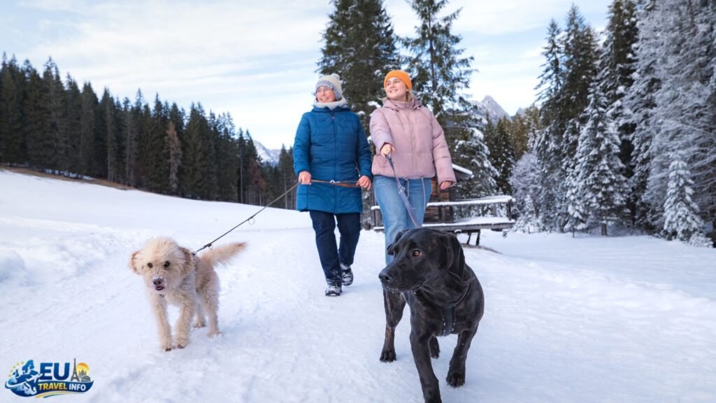 Dog-Friendly Things to Do in Austria