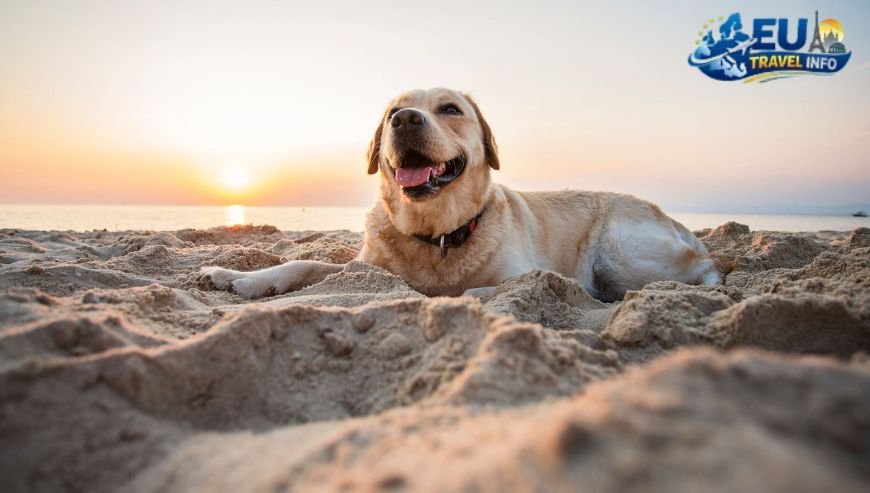 Dog Friendly Travel in Ulcinj, Montenegro