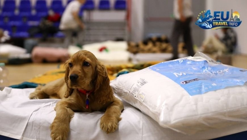 Dog Friendly Ukraine