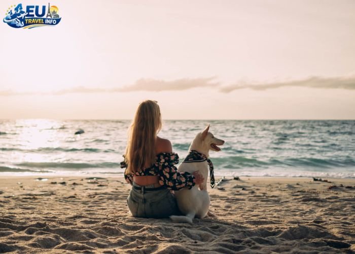 Dog Friendly United Kingdom