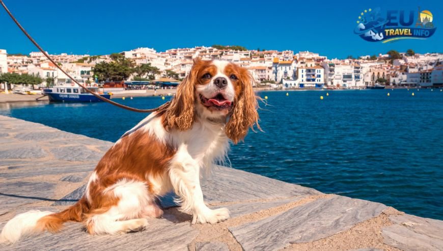 Dog Friendly european destination wedding