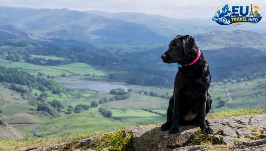 Dog Friendly hikes europe