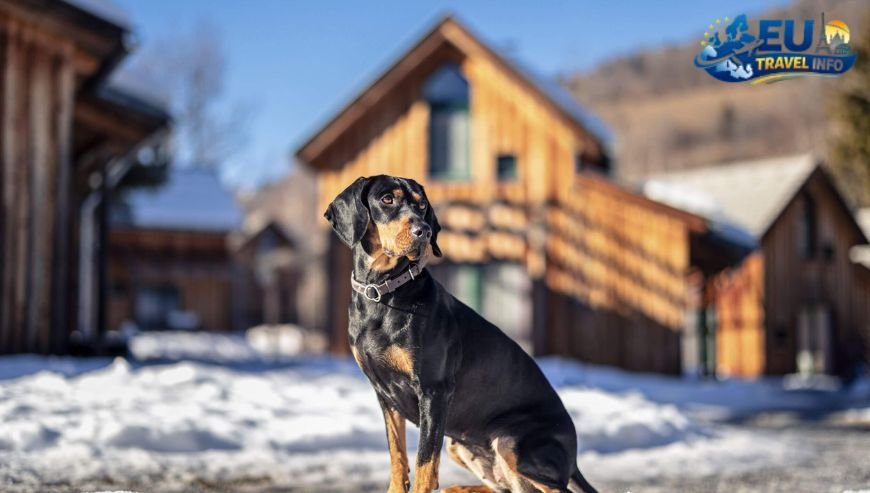 Dog Friendly holiday parks in europe