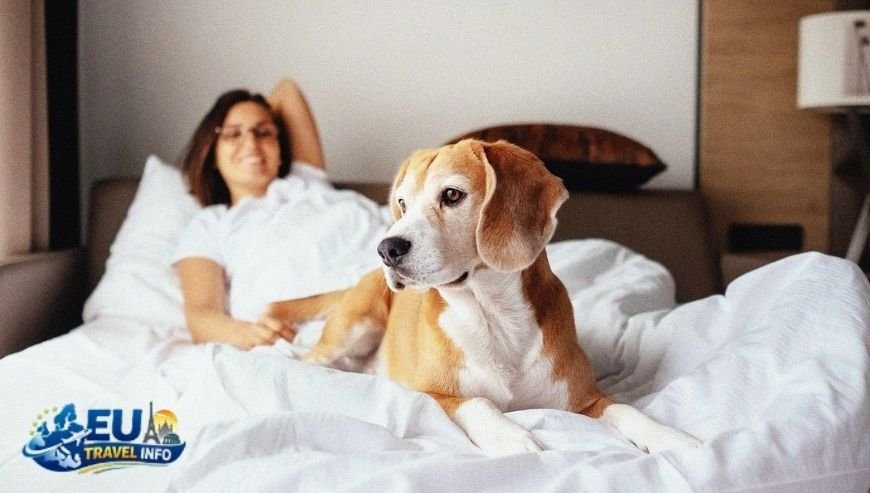 Dog friendly Hotels France Map (1)