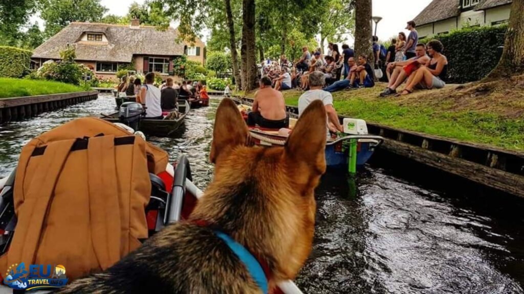 Dog-friendly Public Transport in the Netherlands