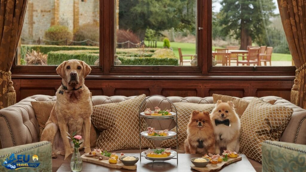 Dog-friendly accommodations in the United Kingdom