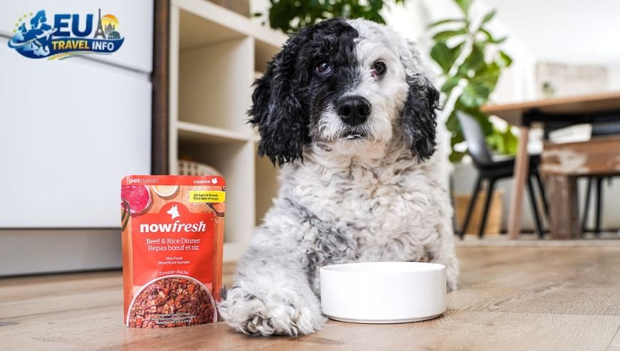 Dog friendly armenia food