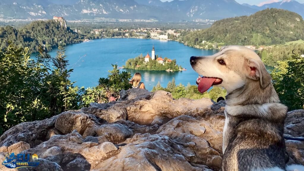 Dog-friendly beaches and lakes in Slovenia