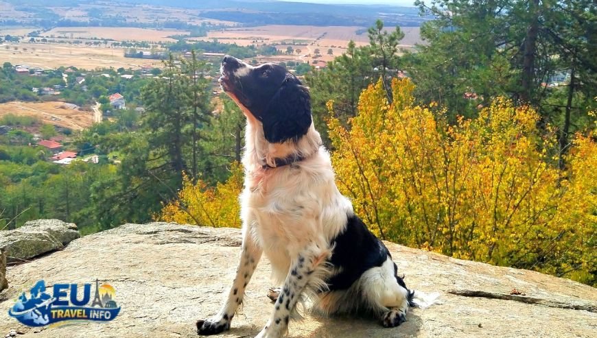 Dog friendly holidays in Bulgaria