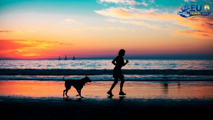 Dog friendly holidays in Bulgaria