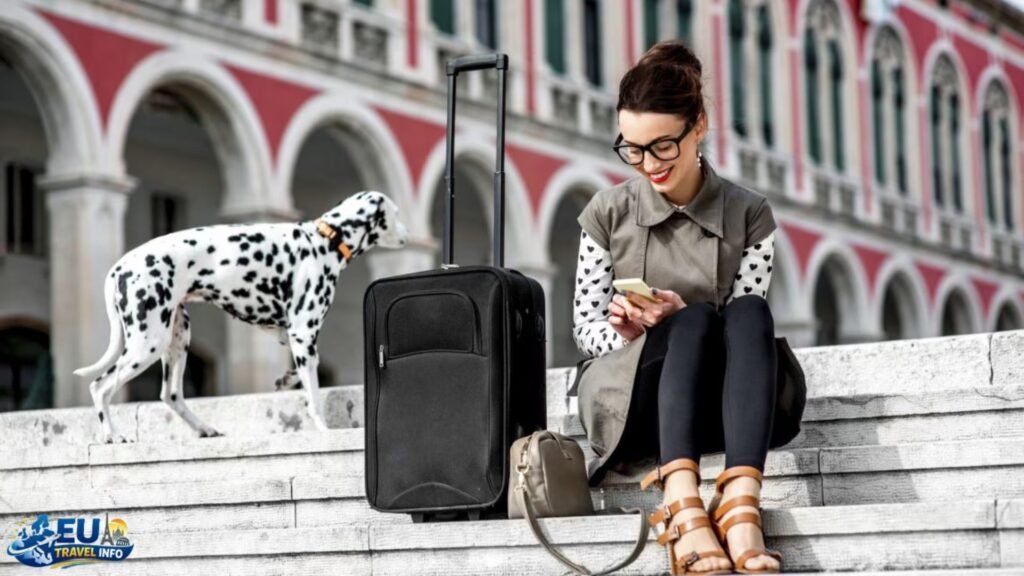 Dog-friendly public transport in Italy