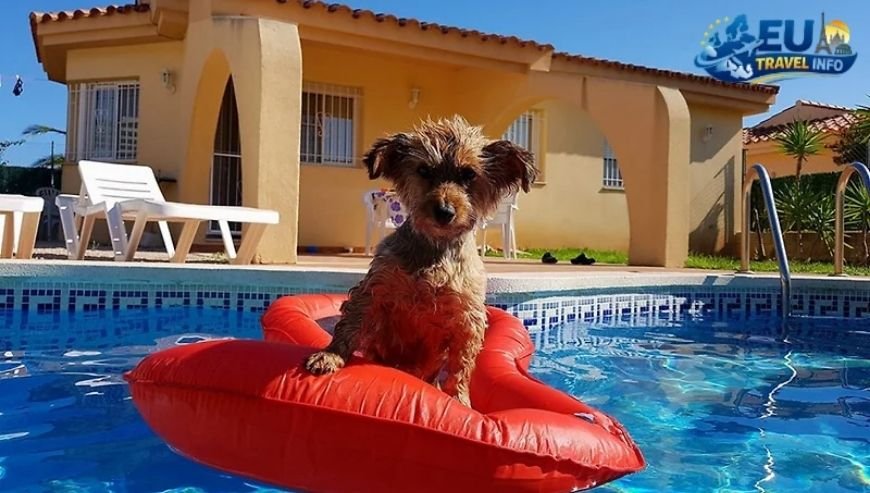 Dog friendly villas in France with private pool