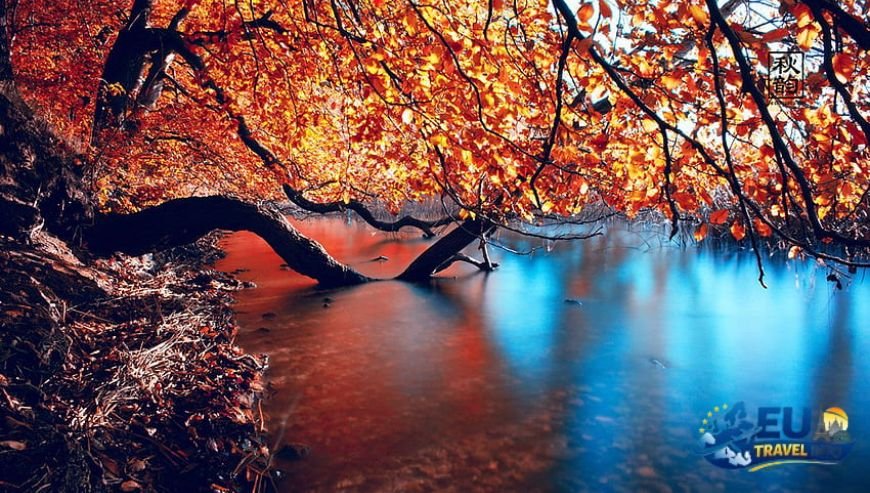 Early Spring and Late Fall