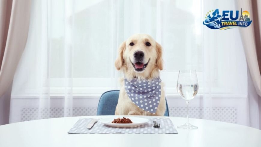 Eating Out Finding a Pet Friendly Cafe Nicosia and Beyond