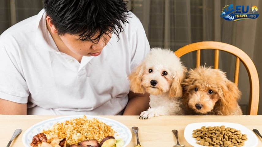 Eating Out With My Dog