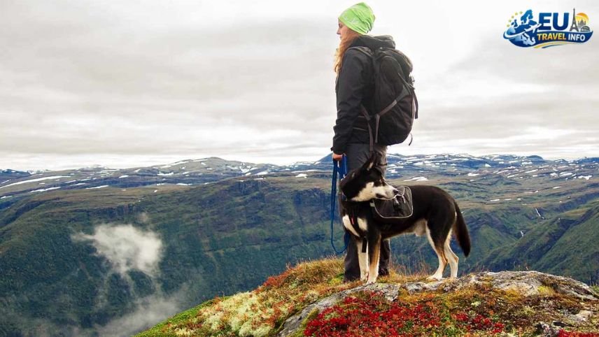 Entering Norway With Your Pet