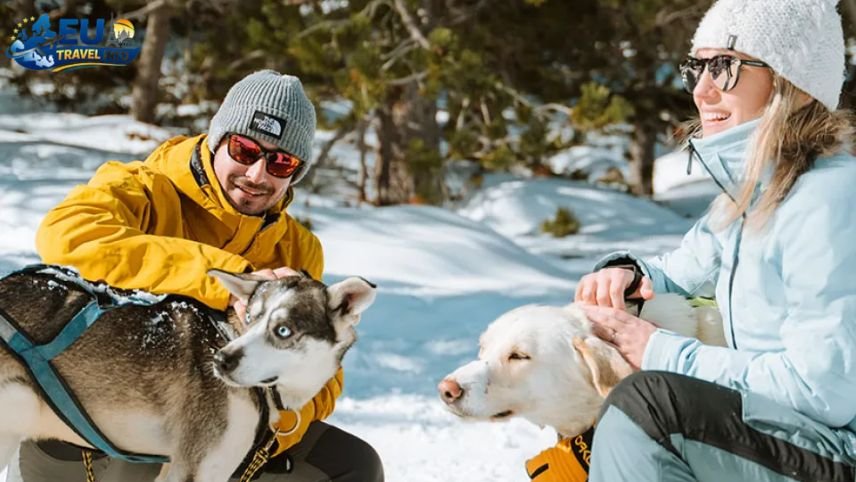 Essential Rules for Taking Dogs to Andorra