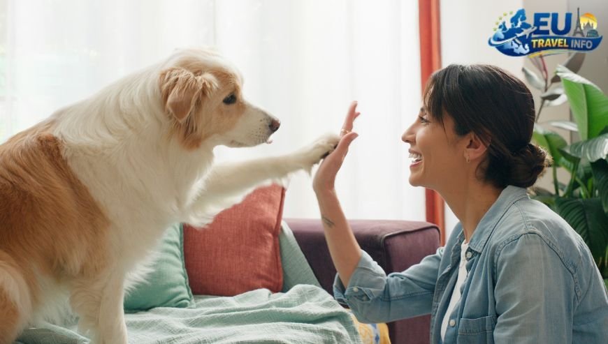 Essential Rules for Your Best Friend dog