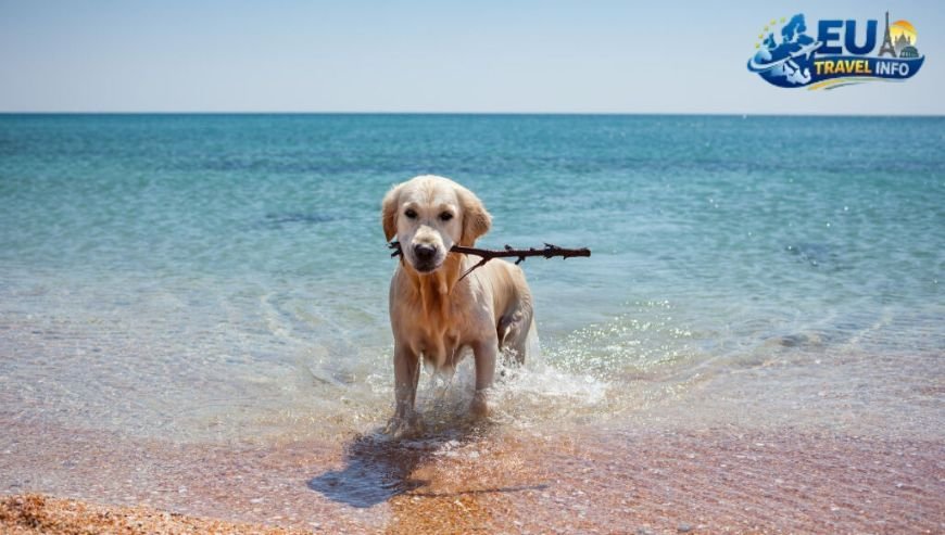 Exploring Greece with Your Pet
