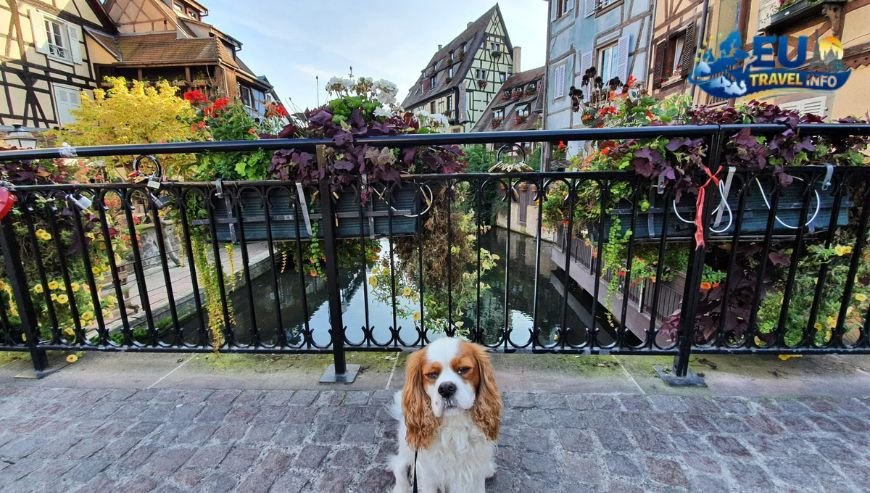 Exploring the Capital Zagreb with a Dog