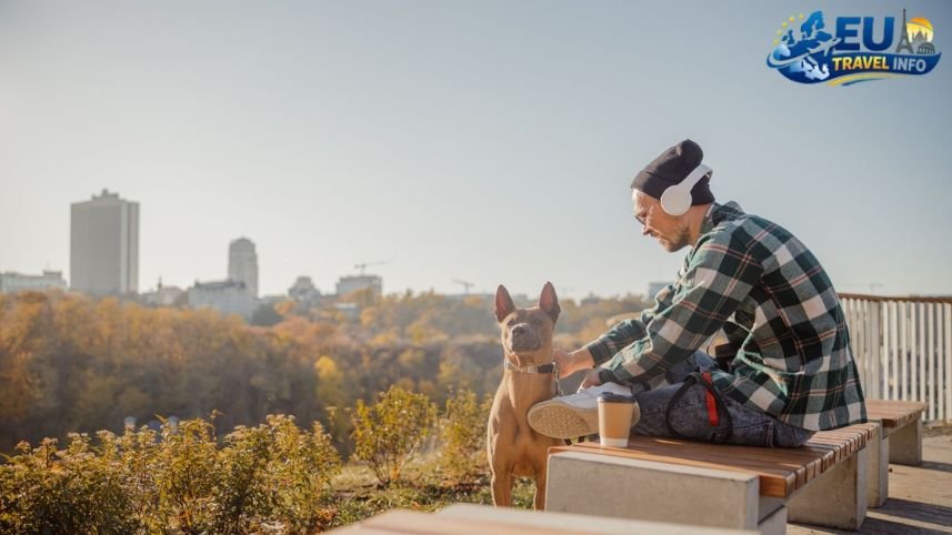 Exploring the City with Your Dnipro Pet dog