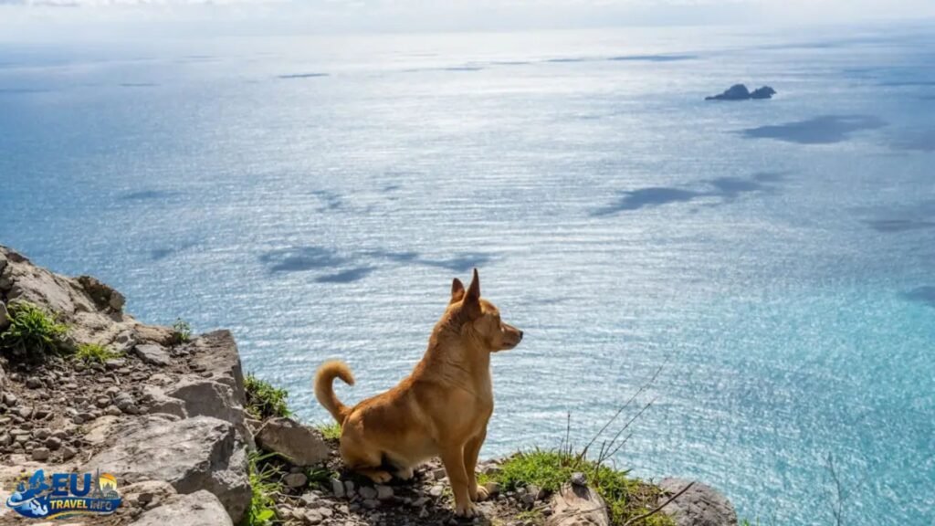 Exploring the Islands