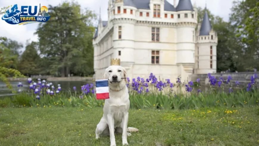 Exploring the Loire Valley Castles for Canines