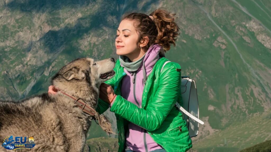 Exploring the Sights