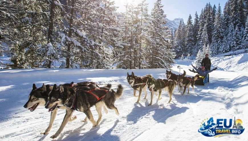 Exploring the Slopes and Lifts dog
