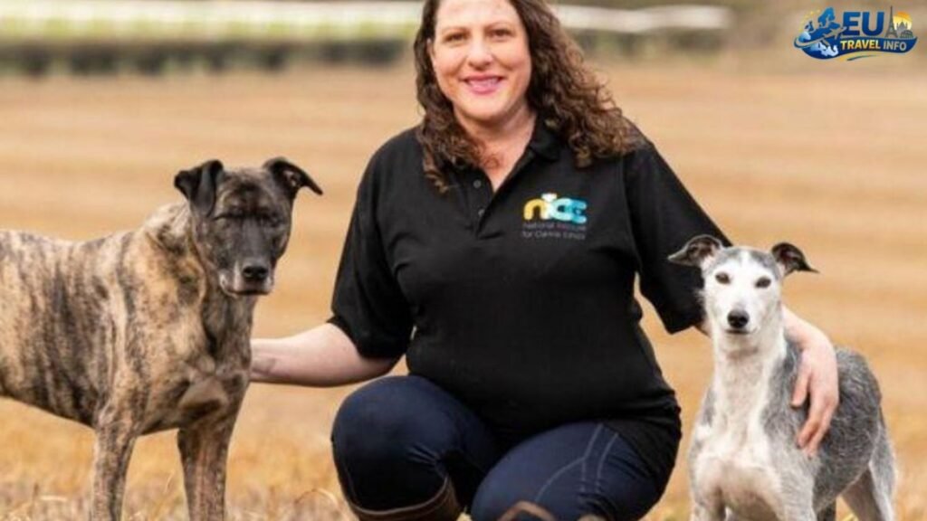 Exploring the Three Towers dog