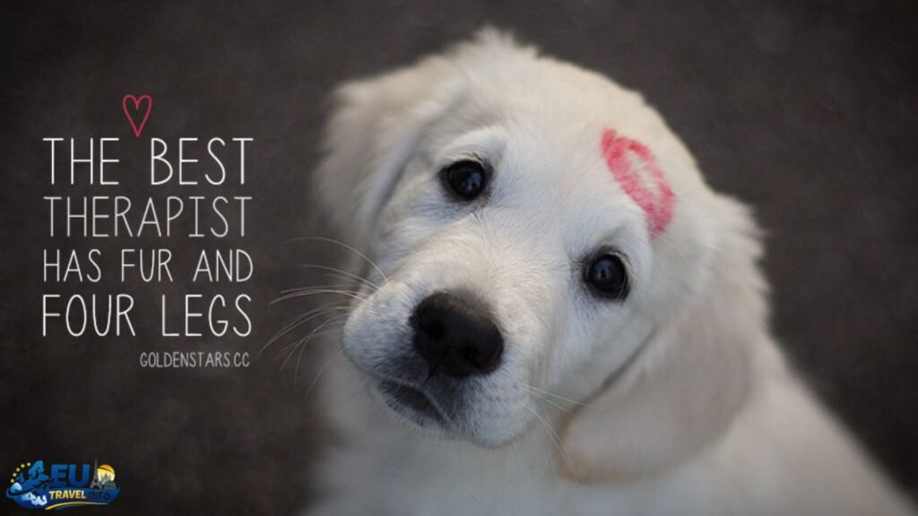 Final Thoughts for Your Trip