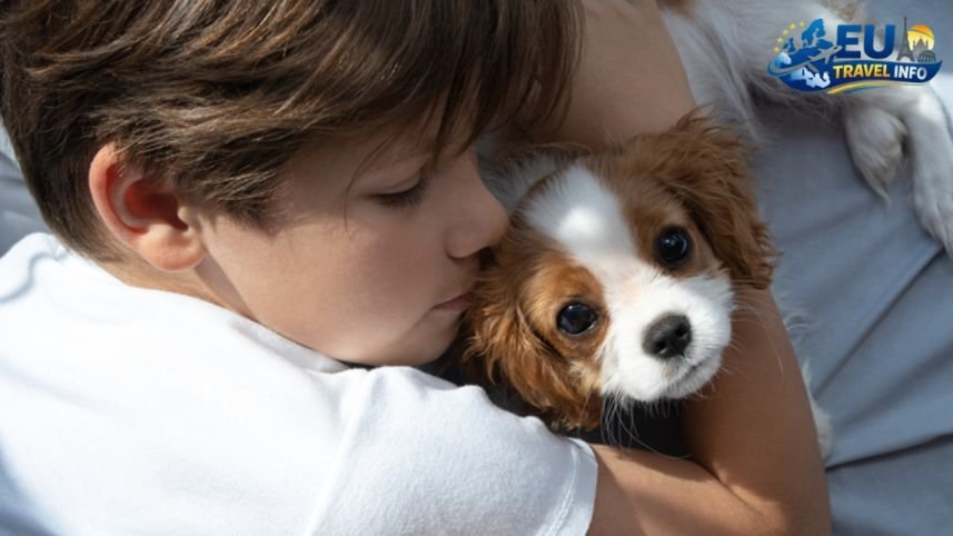 Finding a Pet Friendly Hotel Switzerland dog