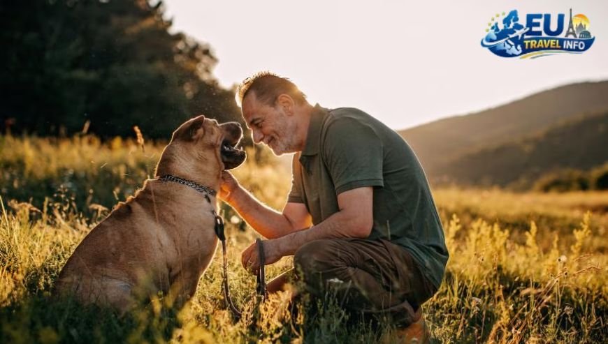 Finding a Place to Rest Your Paws