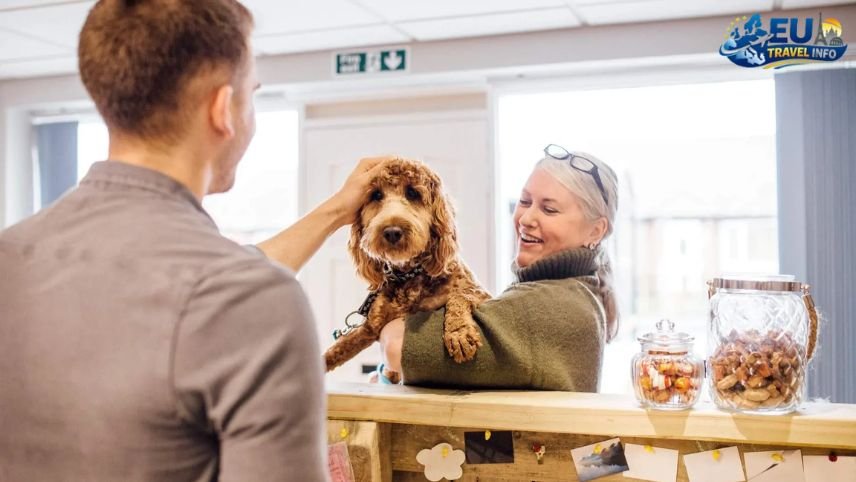 Finding a Place to Stay