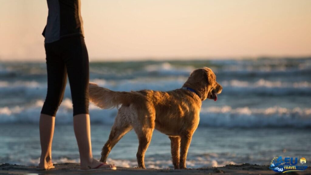 Finding a Place to Stay