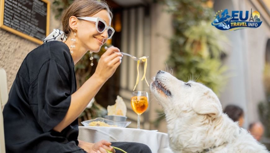 Finding the Perfect Pet Friendly Accommodation in Italy