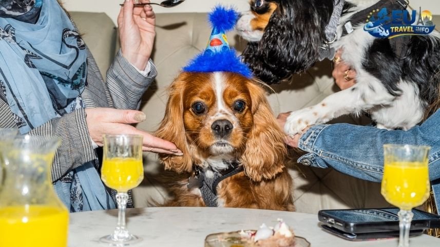 Fine Dining and Coffee House Culture dog