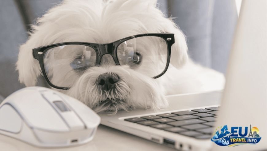 First Steps The Paperwork and Rules dog