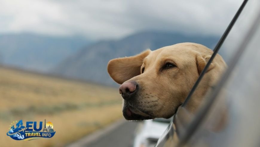 First Steps for Your Trip