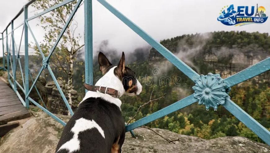 First Stop Bohemian Switzerland and the Famous Pravčice Gate dog