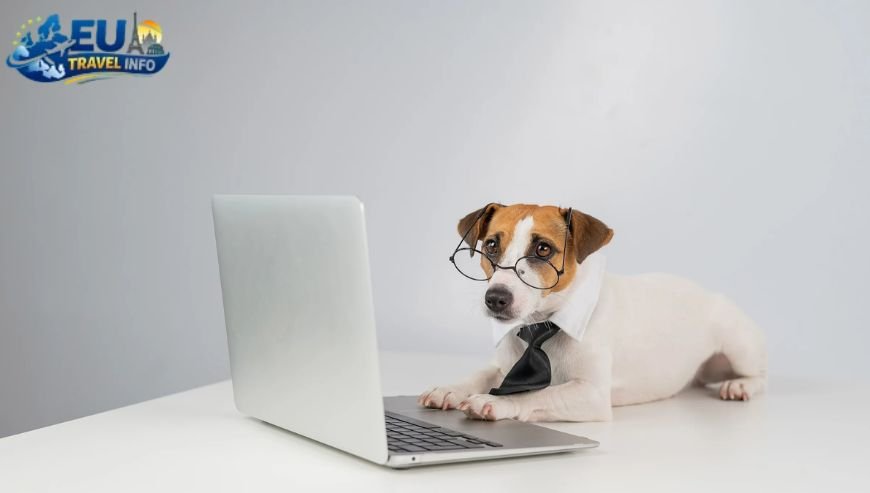 First Things First The Paperwork dog